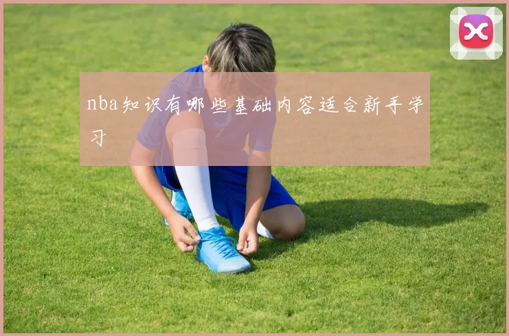 nba知识有哪些基础内容适合新手学习