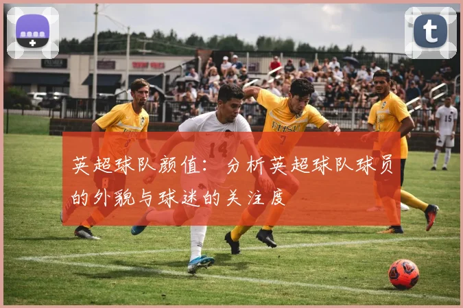 英超球队颜值：分析英超球队球员的外貌与球迷的关注度