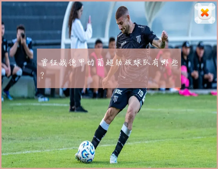 曾征战德甲的葡超劲旅球队有哪些？