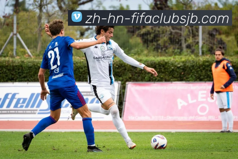 世界杯赛程平台生态图