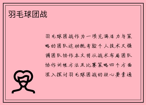 羽毛球团战