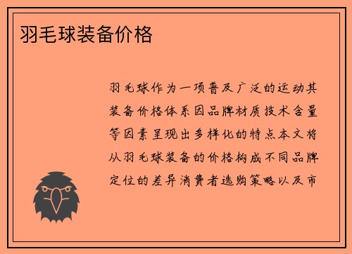 羽毛球装备价格